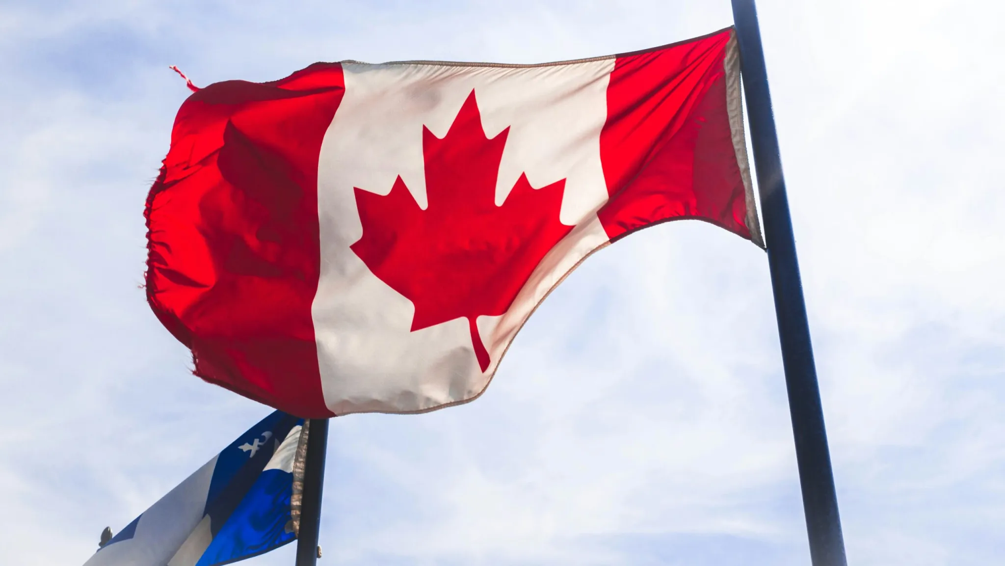 Le rôle du TCF dans l'immigration à Canada