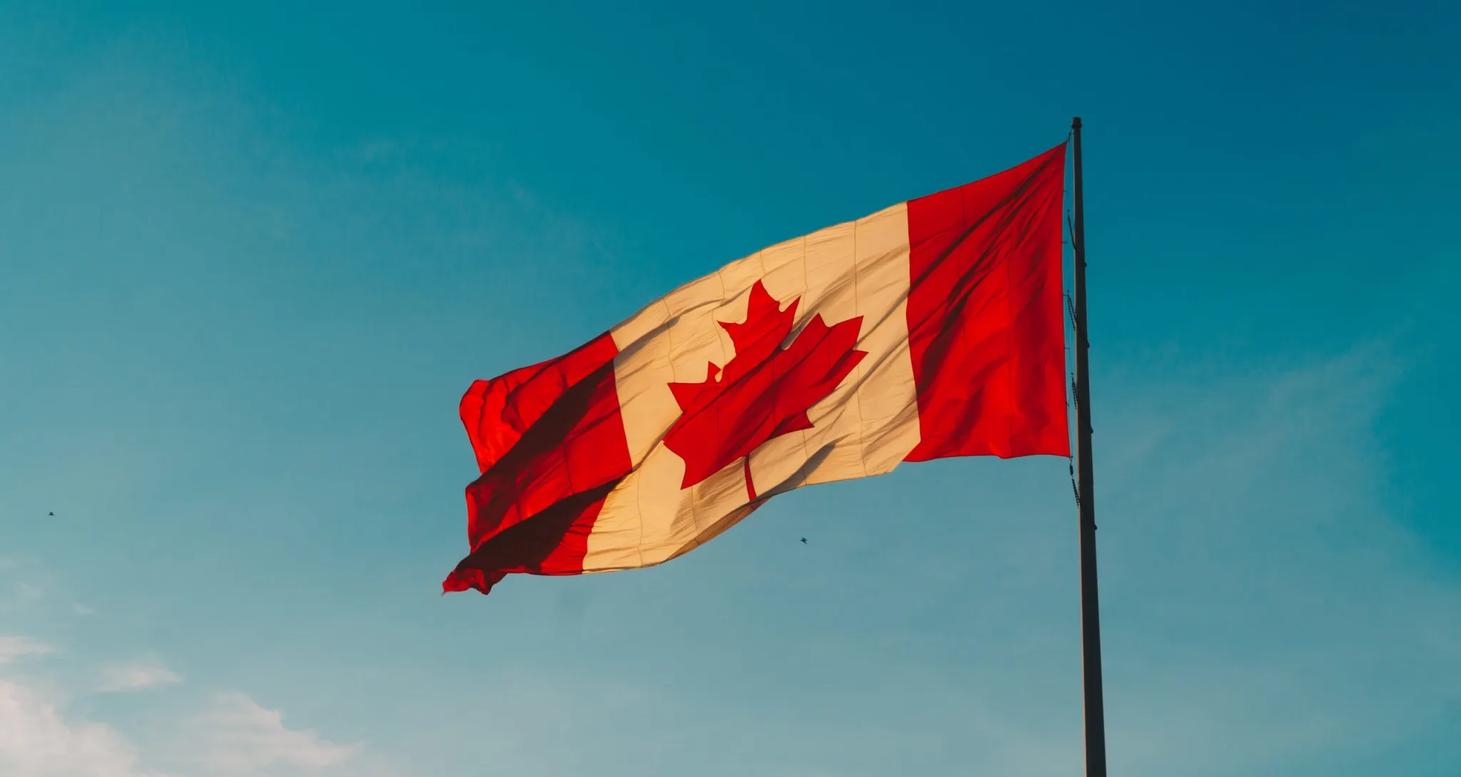 immigration au canada